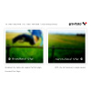 gravitate