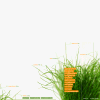 GEDIMO webdesigner